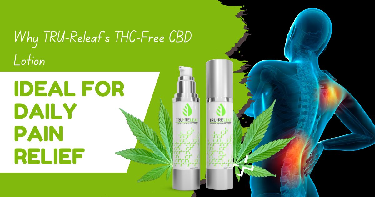 THC Free CBD Infused Pain Relief Lotion